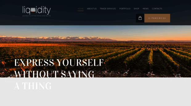 liquidity.co.za