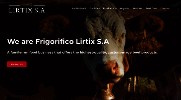 lirtix-uy.com