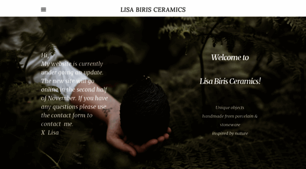 lisabirisceramics.com