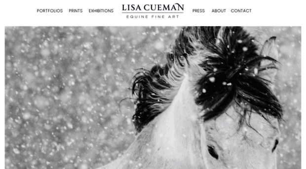 lisacuemanphotography.com