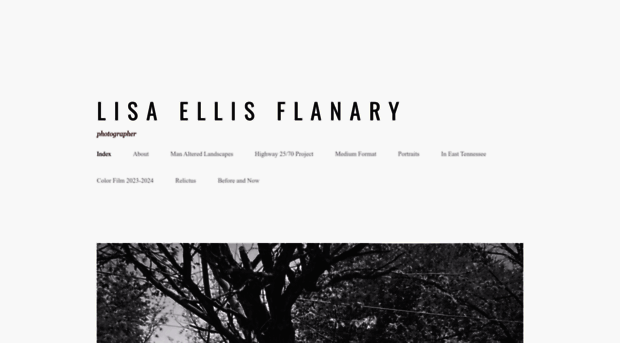 lisaellisflanary.com