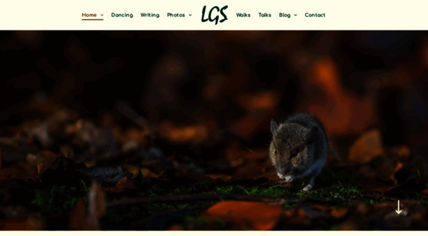 lisagsaw.co.uk