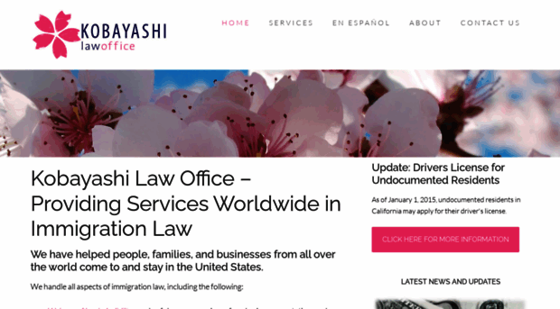 lisakobayashi.com