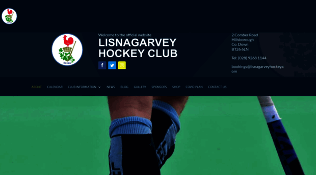 lisnagarveyhockey.com