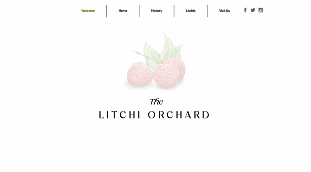 litchiorchard.co.za