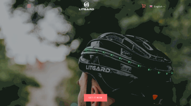 litgard.com