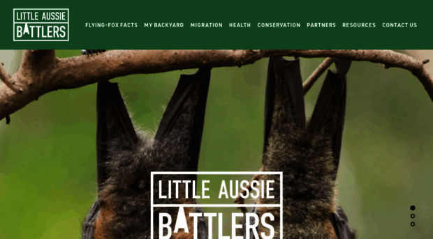 littleaussiebat.com.au