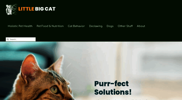 littlebigcat.com