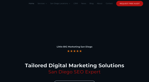 littlebigmarketingsandiego.com