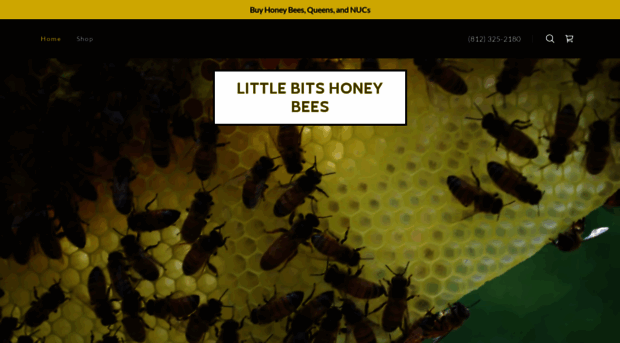 littlebitshoneybees.com