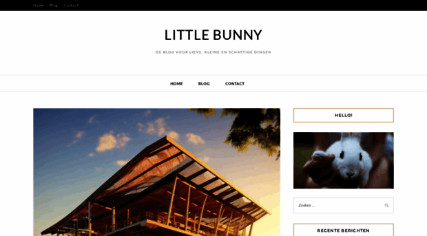 littlebunny.nl