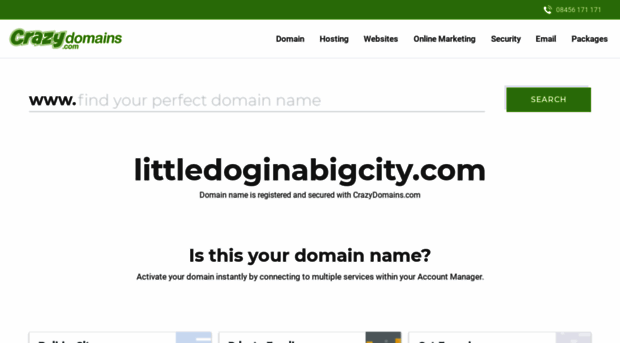 littledoginabigcity.com