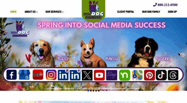 littledogsocialmedia.com