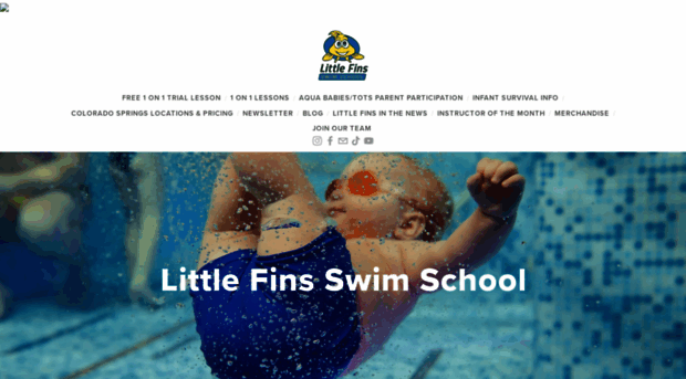 littlefinsswimschool.com