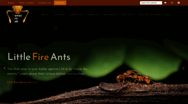 littlefireants.com