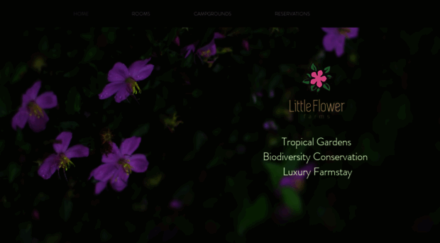 littleflowerfarms.com