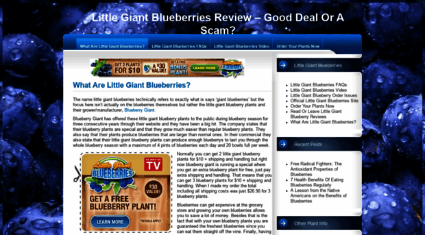 littlegiantblueberry.com