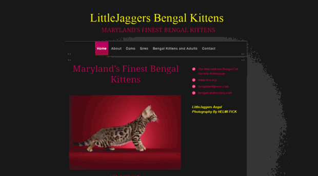 littlejaggers.net