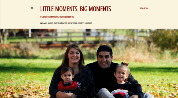 littlemomentsbigmoments.blogspot.com