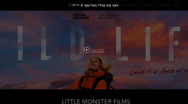 littlemonsterfilms.com