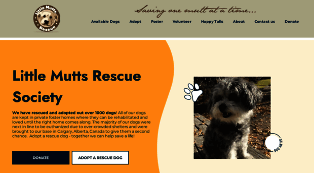 littlemuttsrescue.org