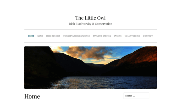 littleowlblog.com