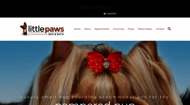 littlepawsbedandbath.com