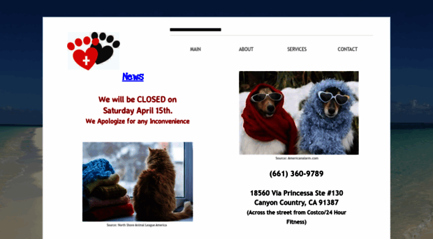 littlepawsdogandcat.com