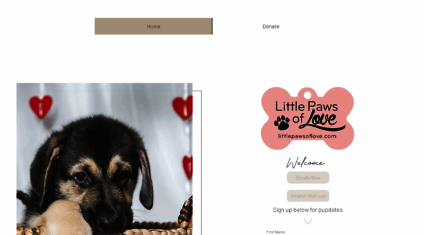 littlepawsoflove.com