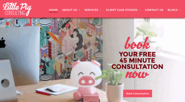 littlepigconsulting.com