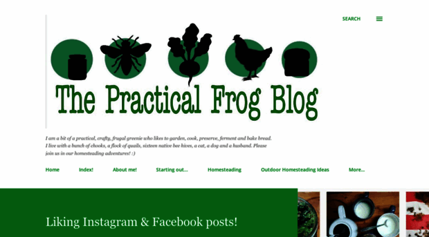 littlepracticalfrog.blogspot.com