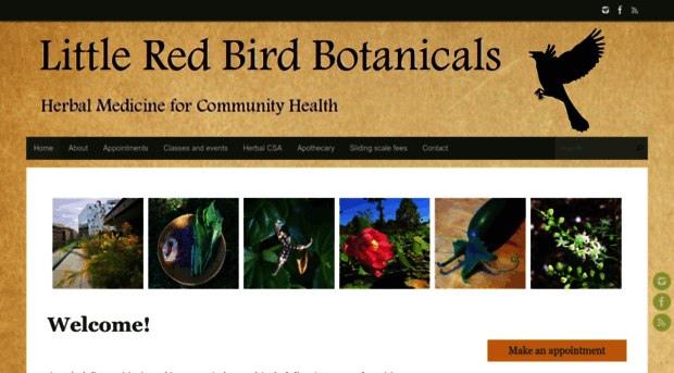 littleredbirdbotanicals.com