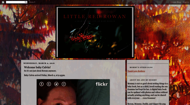 littleredrowan.blogspot.com