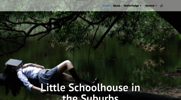 littleschoolhouseinthesuburbs.com