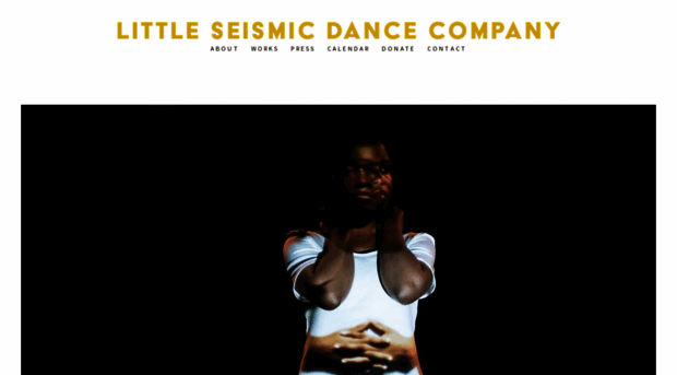 littleseismicdance.org