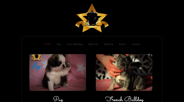 littlestarsweb.com