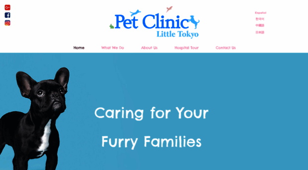 littletokyovet.com