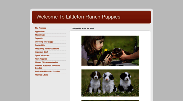 littletonranchpuppies.blogspot.com