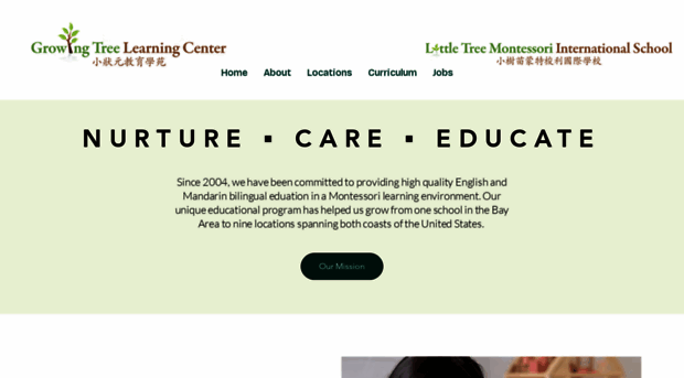 littletreemis.com
