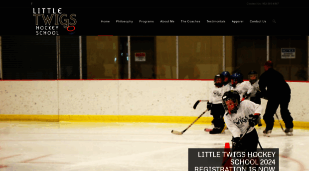 littletwigshockeyschool.com