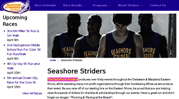 live-seashorestriders.pantheon.io