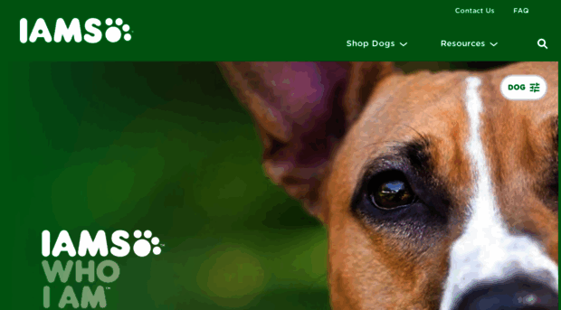 live.iams-india.com