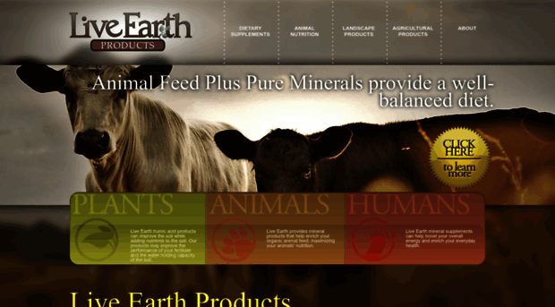 livearth.com