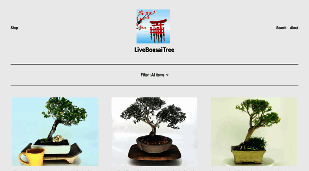 livebonsaitree.com