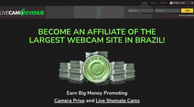 livecamrevenue.com