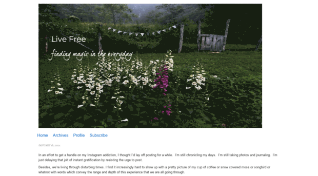 livefree.typepad.com