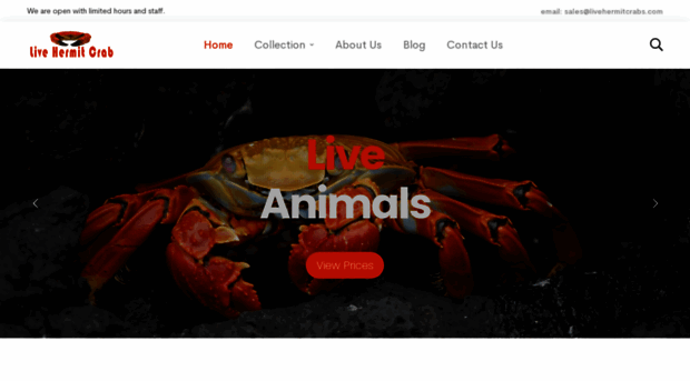 livehermitcrabs.com