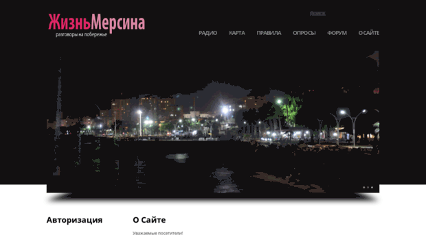 liveinmersin.com