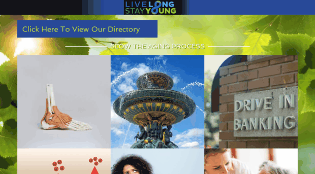 livelongstayyoung.com