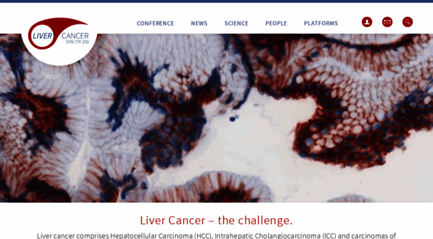 livercancer.de